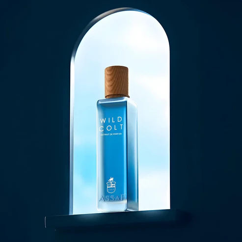 Assaf Wild Colt & Gris Erik Bundle - 200ml EDP
